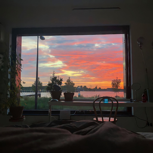 中国精品黄片大片大
